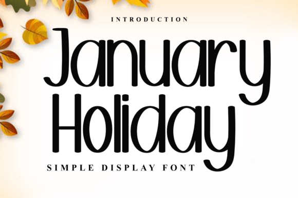 January Holiday Font: A Designer’s Campaign Review