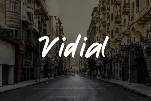 Vidial Font Review: Elevating Small Business Branding
